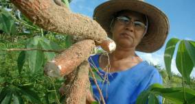 Pesquisa destaca papel da mulher na agricultura familiar