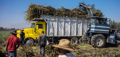 Indústria mexicana de açúcar ainda quer investigação de dumping sobre frutose dos EUA