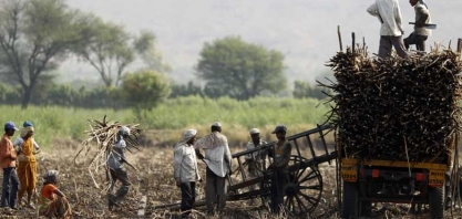 Produção de açúcar da Índia cai 15% no acumulado da safra 2016/17, diz Isma