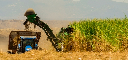 Produtores de cana argentinos estão preocupados com possível abertura de importação proveniente do Brasil