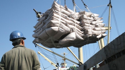 Açúcar: fila de navios nos portos brasileiros diminui de 29 para 17 na semana