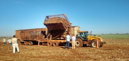 Projeto Brazil Sugarcane gera USD 300 mi em expectativas de negócios