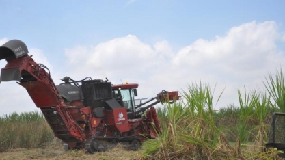 Condições climáticas desfavoreceram safra 2016/2017 da cana