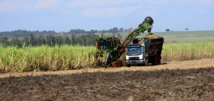 Goiás deverá colher 70 milhões de toneladas de cana-de-açúcar