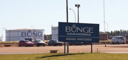 Bunge destina 70% da sua cana-de-açúcar cana para produzir etanol