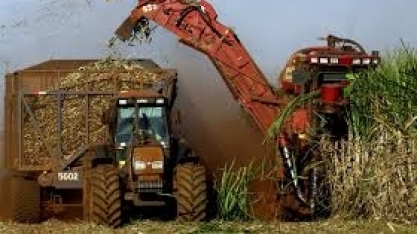 Moagem de cana no CS ganha ritmo após início lento; produtividade deve aumentar