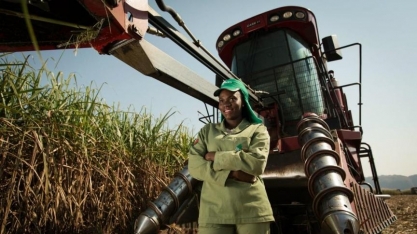 Angola: Biocom Produz 110 mil toneladas de açúcar na temporada 2019