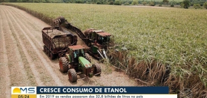 Cresce consumo de etanol: Em 2019 as vendas passaram dos 32,8 bilhões de litros no país