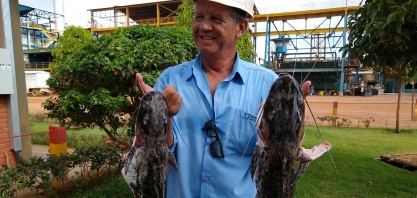 Peixes são distribuídos pela Usina Uruaçu