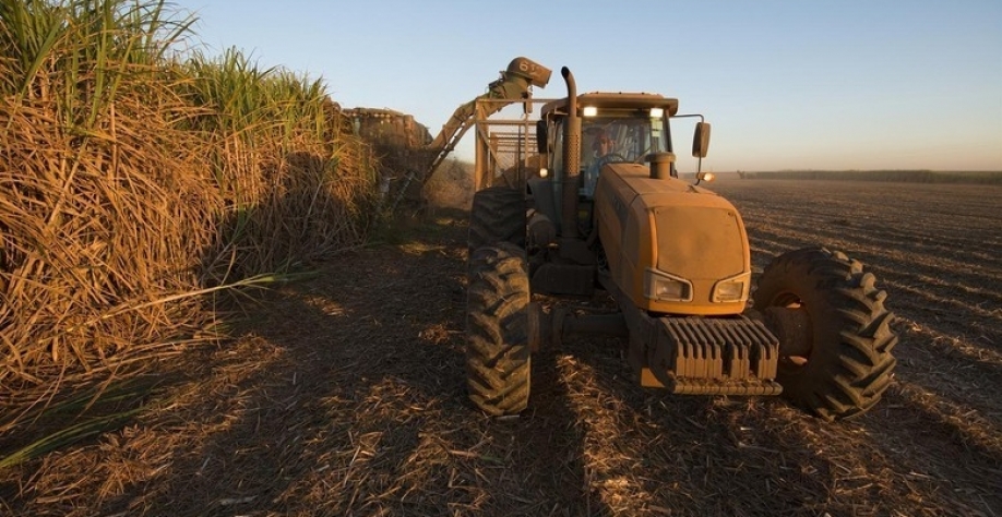 A Raízen prevê moer de 61 milhões a 64 milhões de toneladas de cana na safra 2020/21