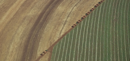 Técnicas para incremento de produtividade foram detalhadas por Carlos Daniel Berro, diretor agrícola da Biosev, em live realizada pela CanaOnline