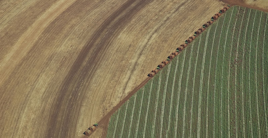 Melhores práticas agronômicas na renovação do plantio e refletem positivamente no aumento da produtividade dos canaviais da Biosev