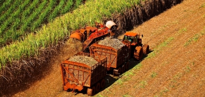 Consequências da seca de 2020 já podem ser sentidas na safra canavieira 2021/22