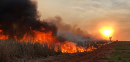 Seca de 2021 supera a de 2020 e acende a luz vermelha para maior ocorrência de incêndios nos canaviais