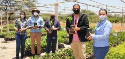 Agrovale doa mudas para plantio de árvores nativas da Caatinga