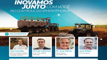 Mesa redonda on-line debaterá o controle eficaz do Sphenophorus levis