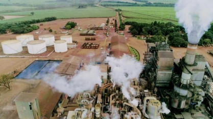 Usina Santo Ângelo retorna ao plantio manual por gargalos do plantio mecanizado