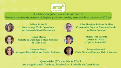 Nesta quarta feira acontece a live “A cana-de-açúcar e o meio ambiente”