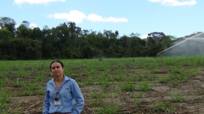 Usina Coruripe começou a irrigar seus canaviais há mais de 30 anos