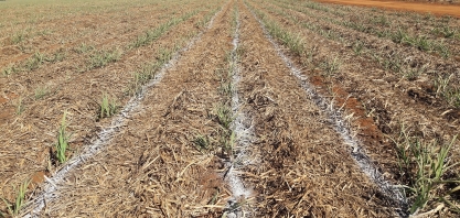 Possível escassez e preços valorizados dos insumos agrícolas aumentam risco de assalto em propriedades rurais