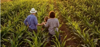 Com mercado de fusões e aquisições em alta no agronegócio brasileiro, empresas buscam assessoria jurídica para “arrumar a casa”