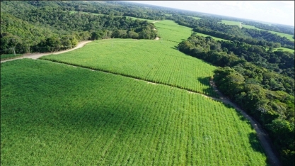 São José Agroindustrial irá aplicar produtos biológicos por meio de seu sistema de irrigação por gotejamento