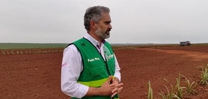 Usina Bonfim espera ter 100% de sua área formada a partir de viveiros de MPBs em até quatro anos