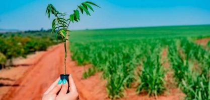 Atvos realiza ações de preservação ambiental no Centro-Oeste e Oeste Paulista