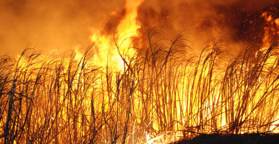 Dados fornecidos pelo sistema de Monitoramento de Incêndio, desenvolvida pela Cyan Agroanalytcs