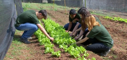 Usina Lins impulsiona o futuro: Programa “Jovem Agricultor” forma empreendedores sustentáveis na comunidade