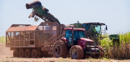 Moagem atinge 15,8 milhões de toneladas na primeira quinzena de abril