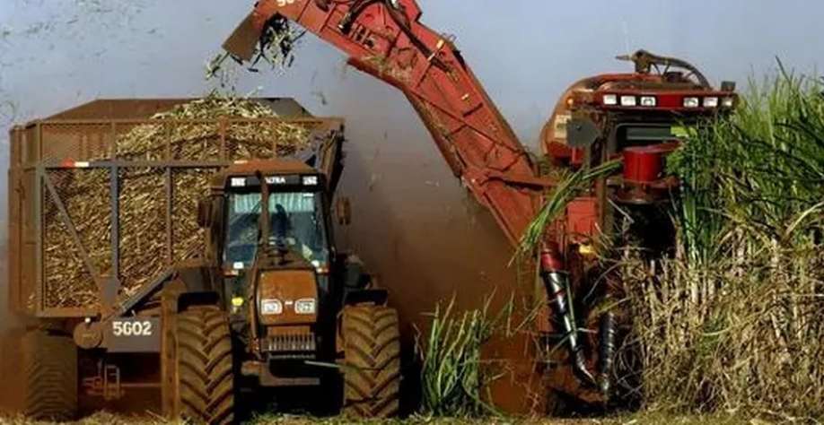 MG deve reduzir sua produção de etanol na safra 2024/25 em 10,7%, segundo Conab — Foto: Globo Rural