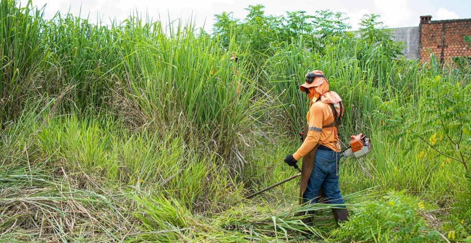 Limpeza mecanizada de terreno. Operador protegido com EPIs. Crédito: Pexels (sites de imagens liberadas) 