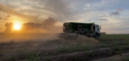 Calcário agrícola enriquecido diminui infestações de pragas nos canaviais da Usina Caeté