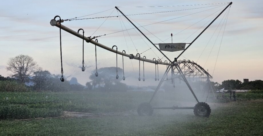 O plano se configura como um propulsor para o desenvolvimento de uma agricultura tecnológica - Foto: Afrânio Pissini/Semadesc